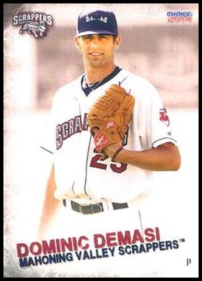 9 Dominic DeMasi